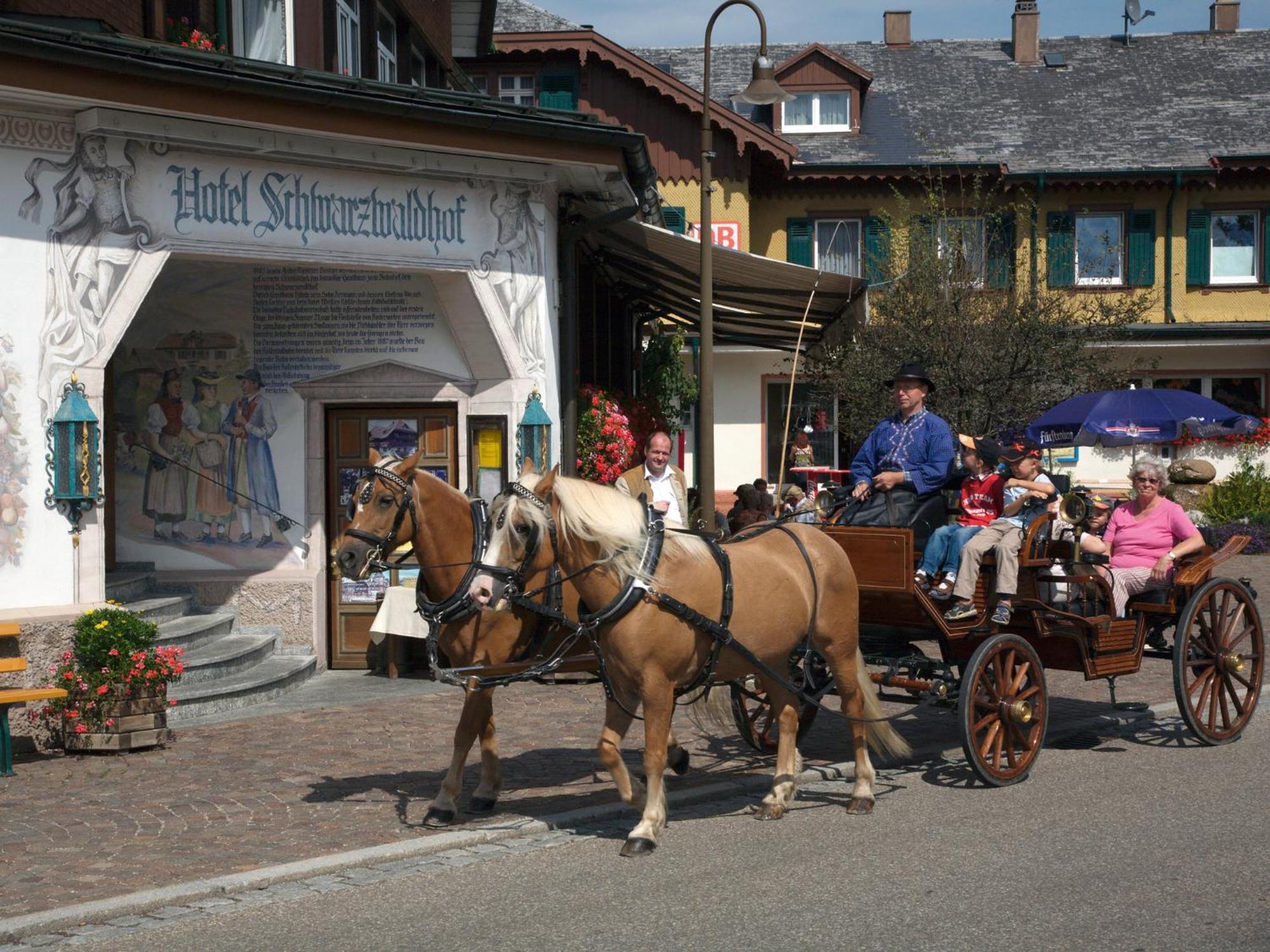 Hotel Schwarzwaldhof Hinterzarten Εξωτερικό φωτογραφία